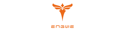 engwe-bikes.com