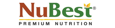 nubest.com Logo