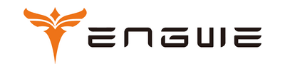 engwe-bikes-eu.com Logo